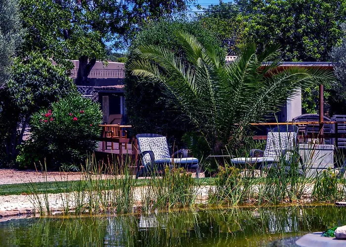 The Quinta Retreat Algarve Available To Facilitators Yoga & Sound Therapies, Massage Mindfulness カントリーハウス アルマンシル